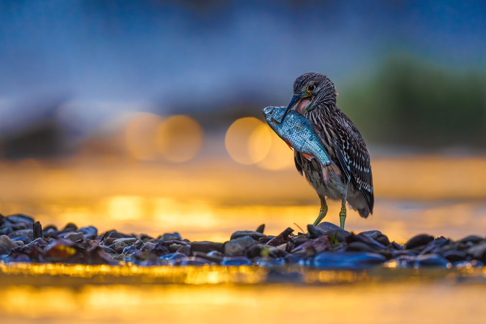 Photograph by Patryk Kurc