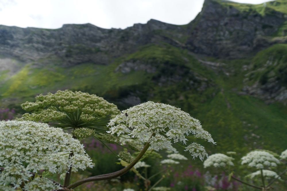 Photograph by Артём Пархоменко