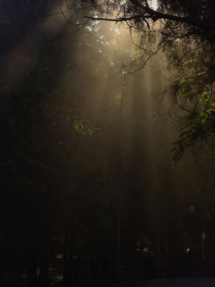 Photograph by Ксения Литвиненко