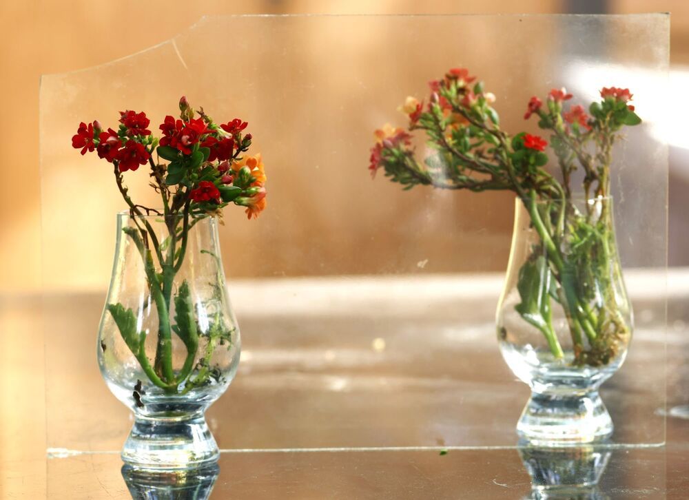 Photograph by Merav Zuberman Perkal