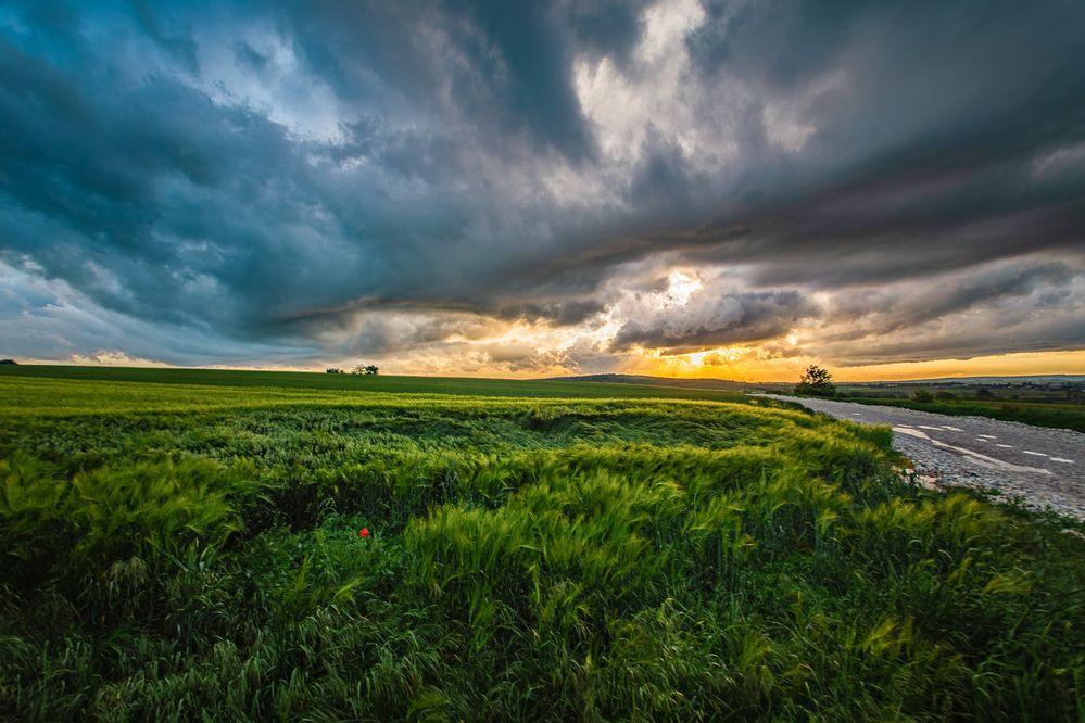 Photograph by Филипп Бабенко