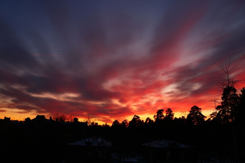 Photograph by Светлана Шуткова