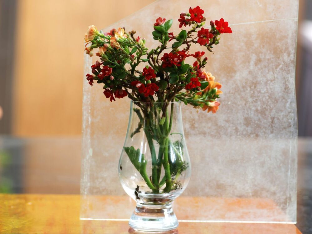 Photograph by Merav Zuberman Perkal