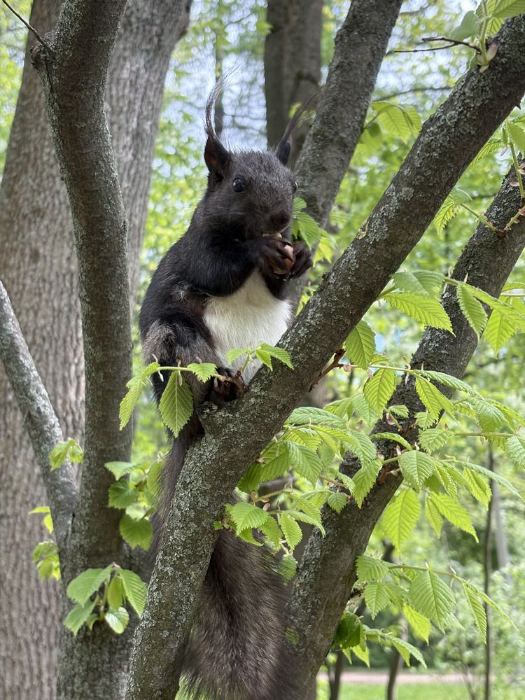 Photograph by Елена Новикова