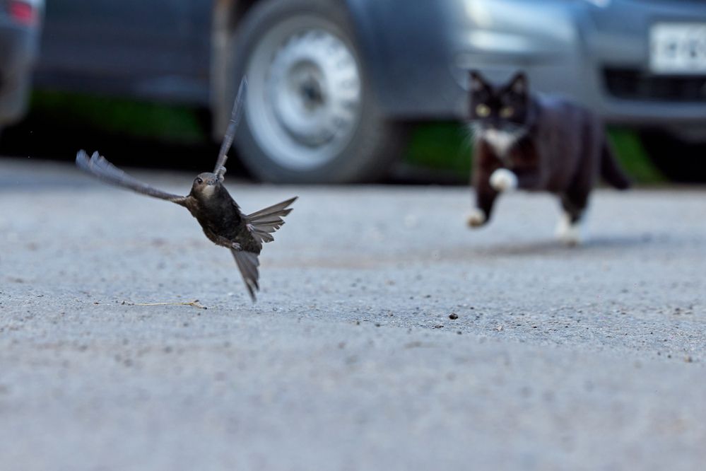 Photograph by Вербицкий Петр