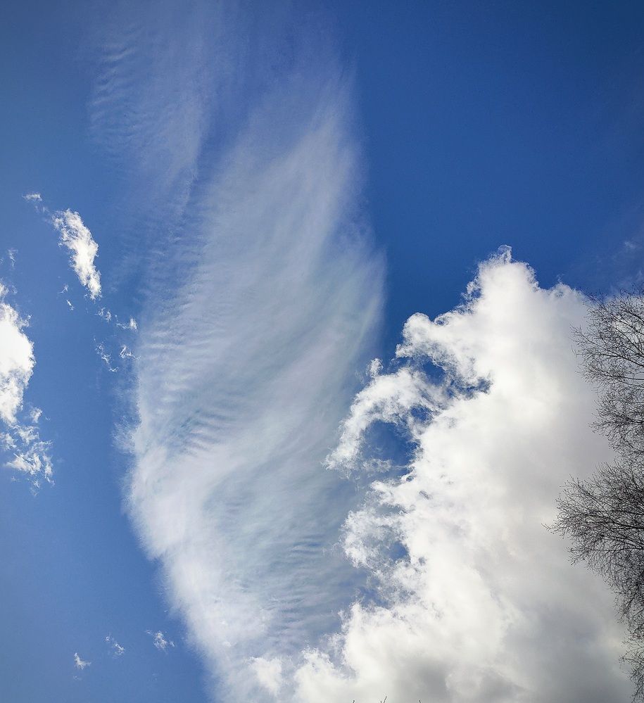 Photograph by Юлия Еганова
