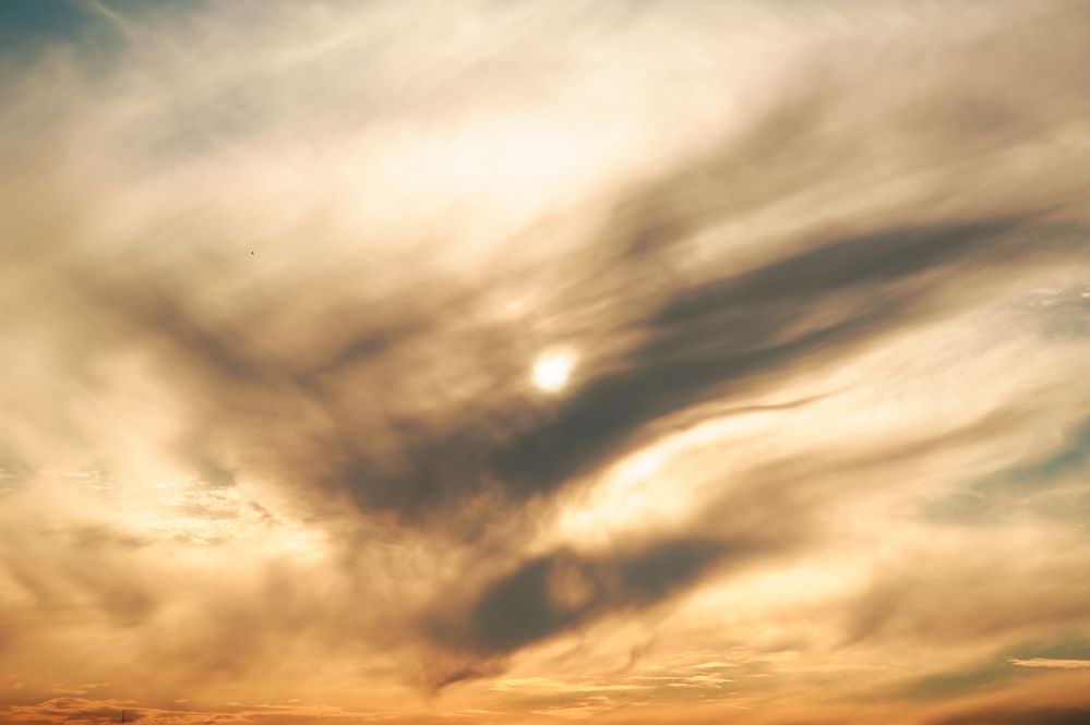 Photograph by Alexander Coin