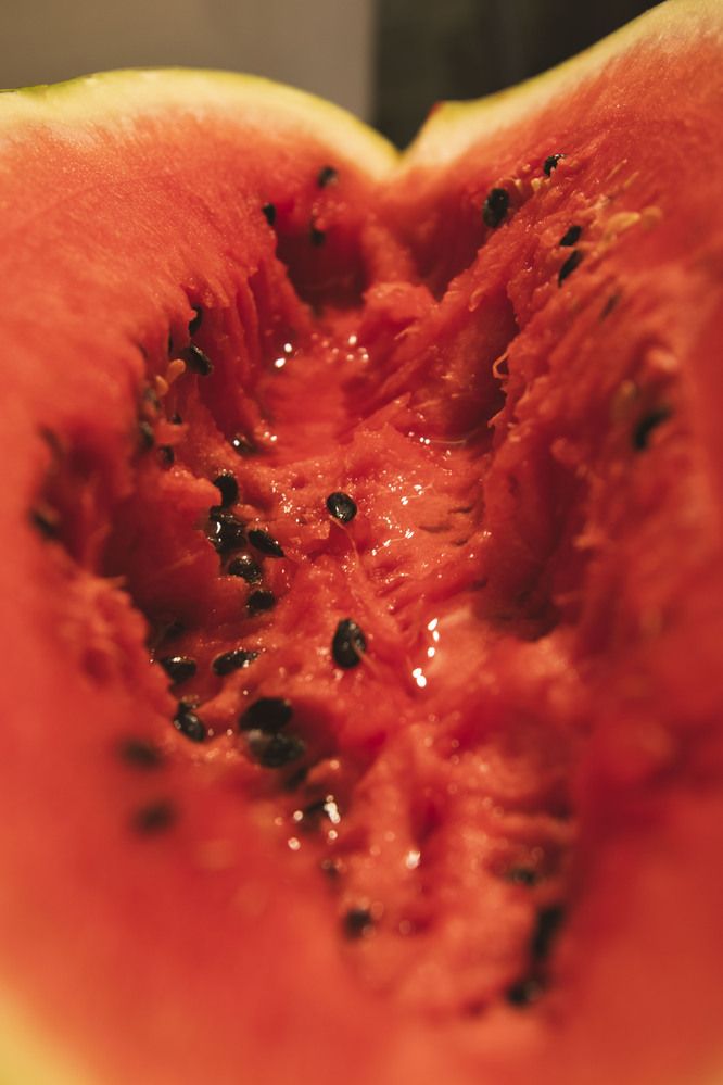 Photograph by Anna Gancheva