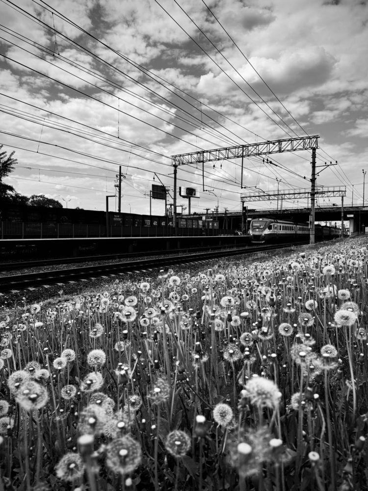 Фотография автора Кирилл Литовский