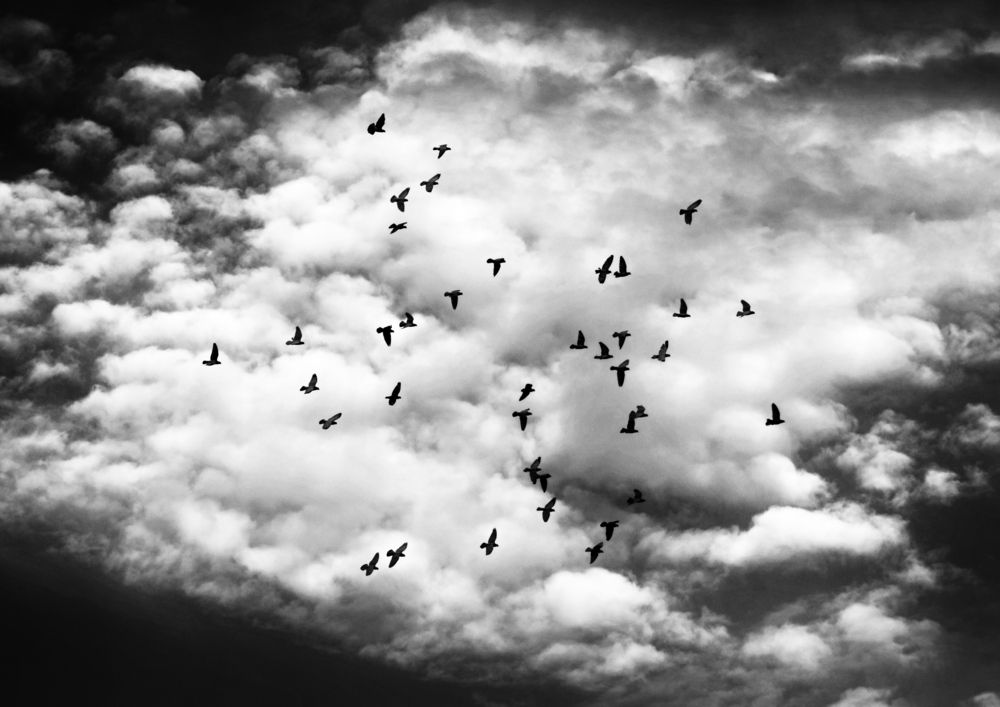 Фотография автора Washiful Majid