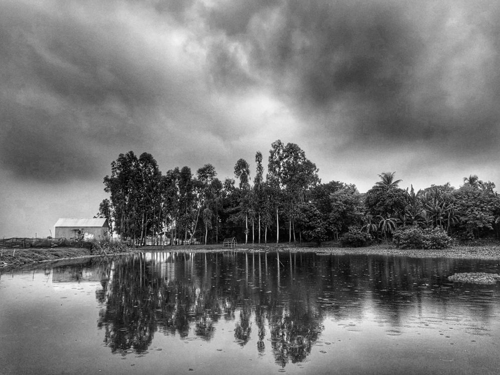 Фотография автора Washiful Majid