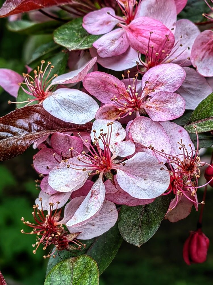Фотография автора Василий Рябовол