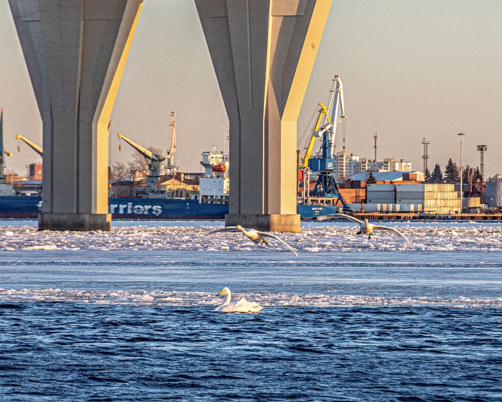 Photograph by Елена Данченко