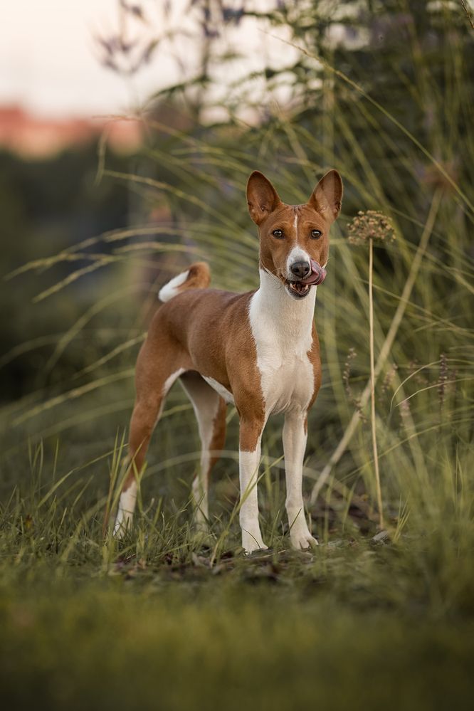 Фотография автора Iurii Butakov