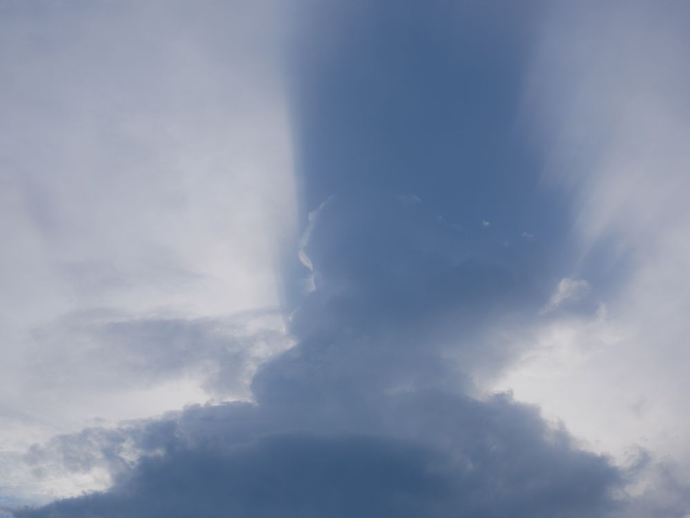 Photograph by Виктория Селетыцкая