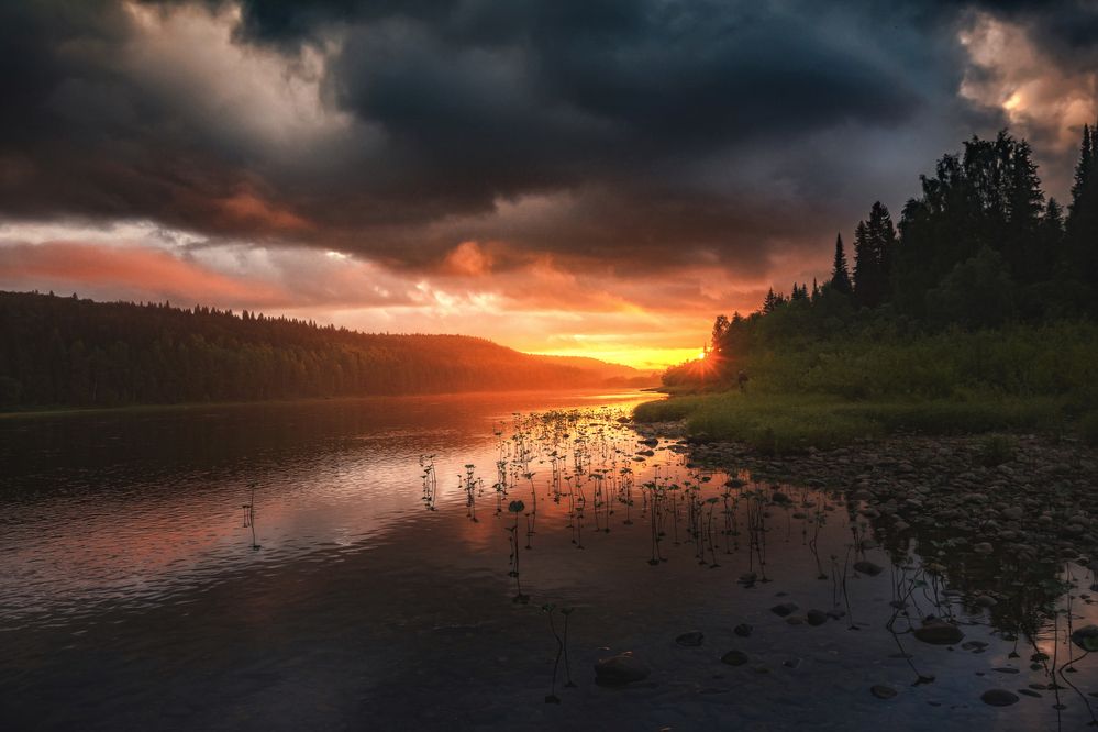 Photograph by Соколова Елена