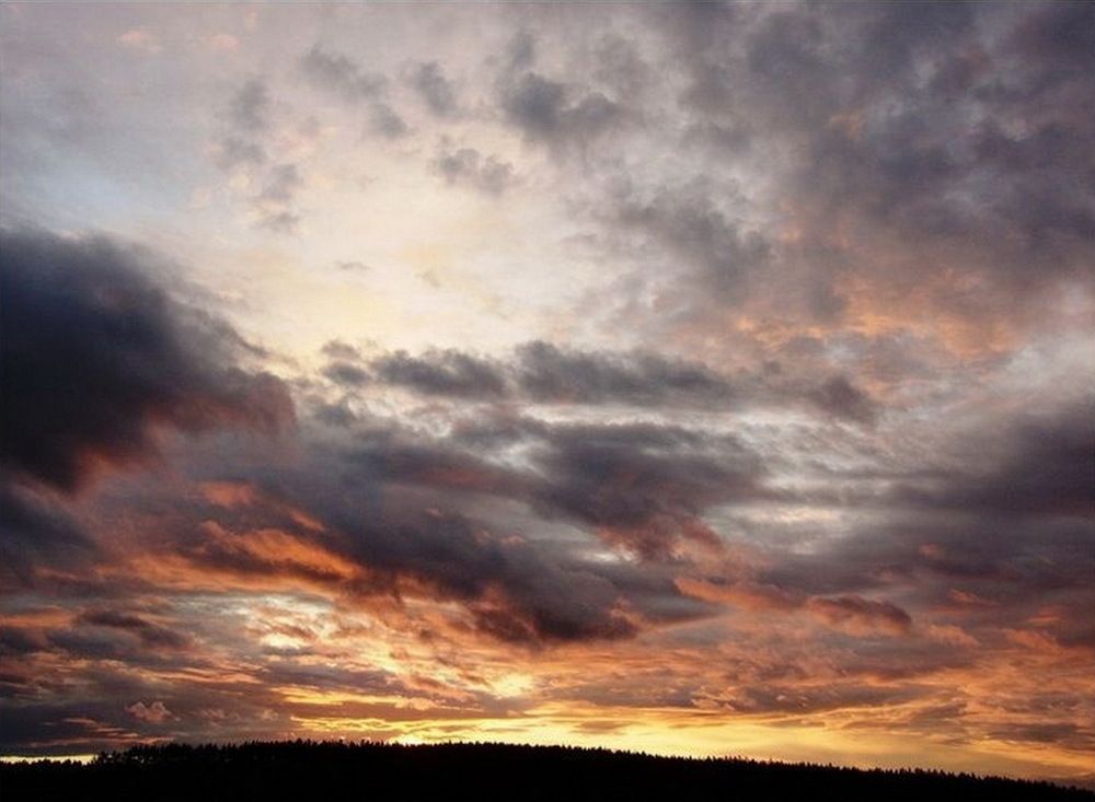 Photograph by Игорь Меньшенин