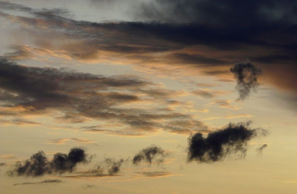 Photograph by Игорь Меньшенин