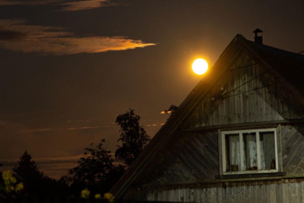 Photograph by Ксения Малютина