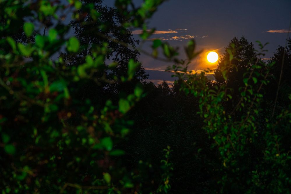 Photograph by Ксения Малютина