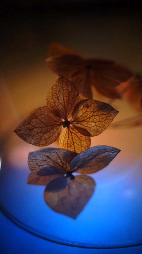 Photograph by Наталья Канищева-Медынская