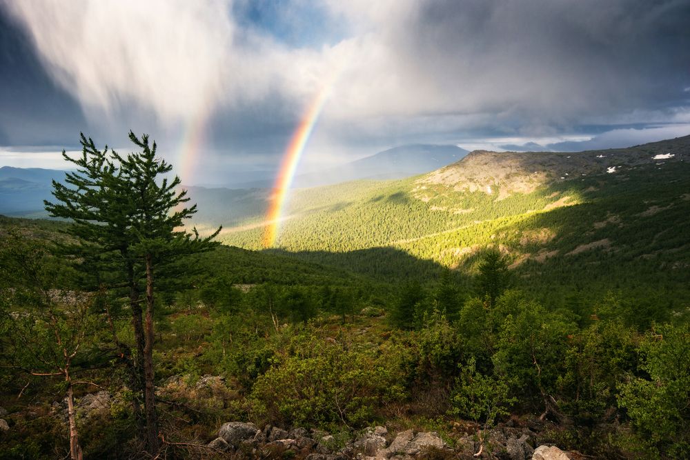 Photograph by Соколова Елена