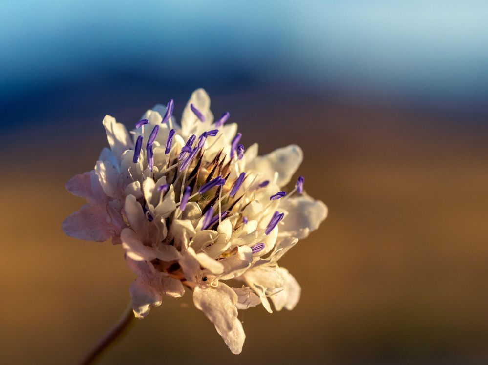 Photograph by Roman Sotnikov