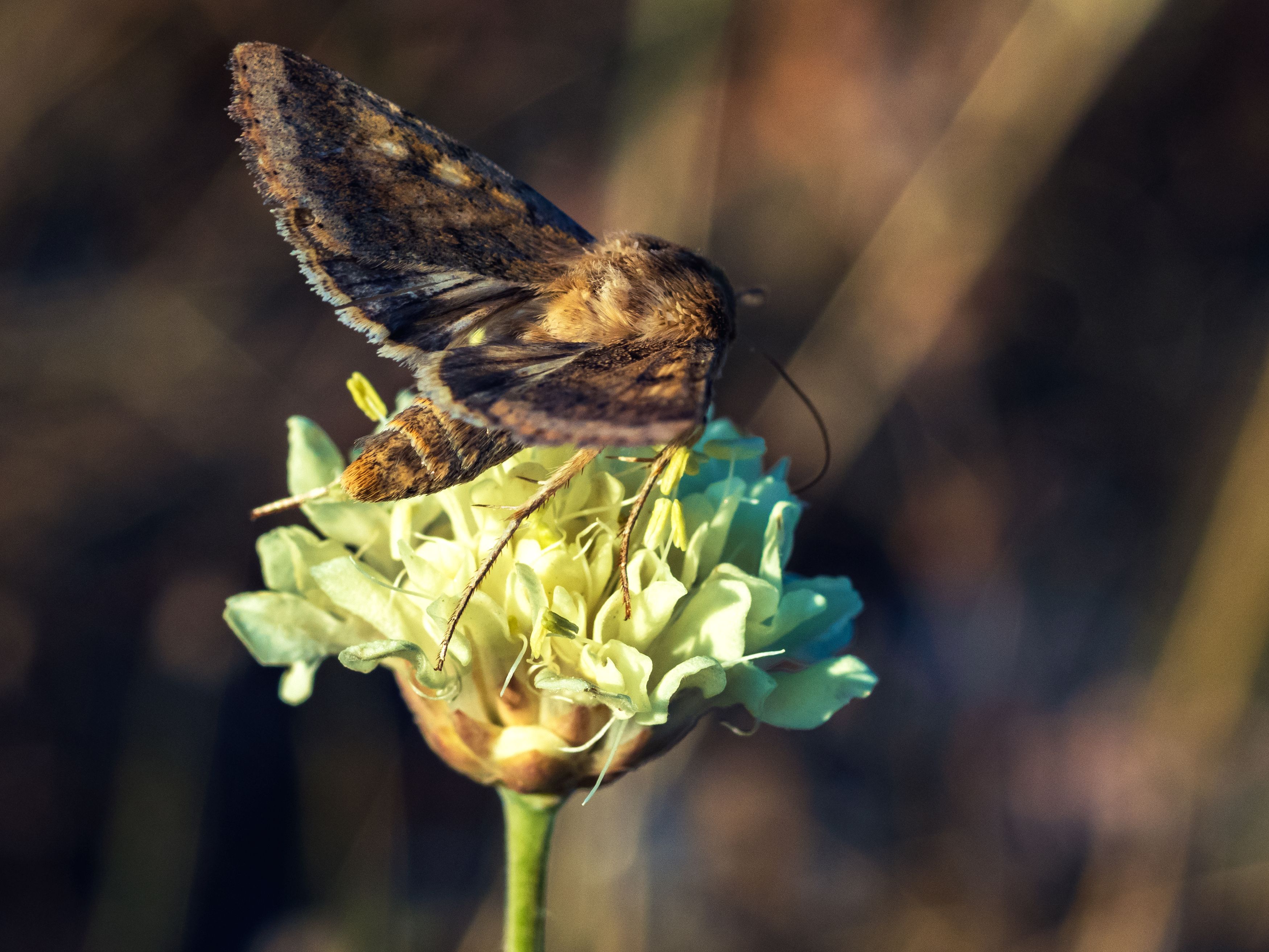 Photograph by Roman Sotnikov