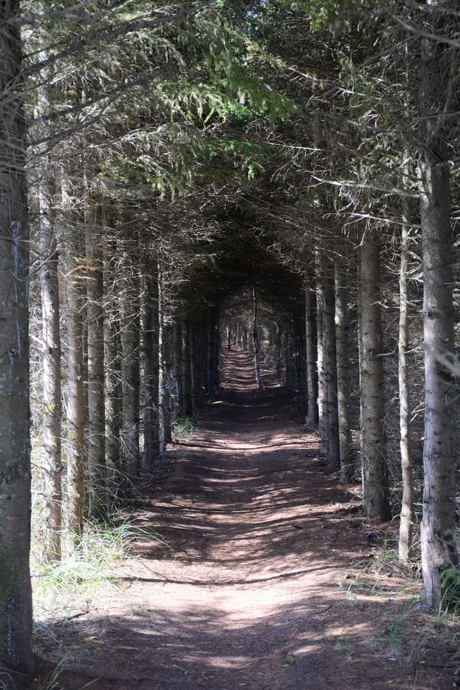 Photograph by Ксения Лебедева