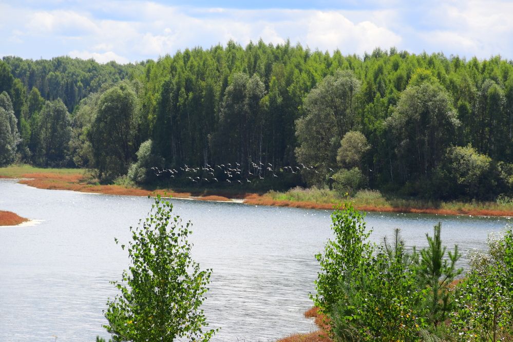 Photograph by Ксения Лебедева