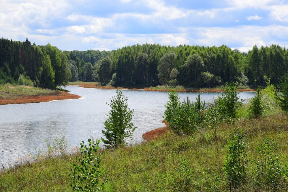 Photograph by Ксения Лебедева