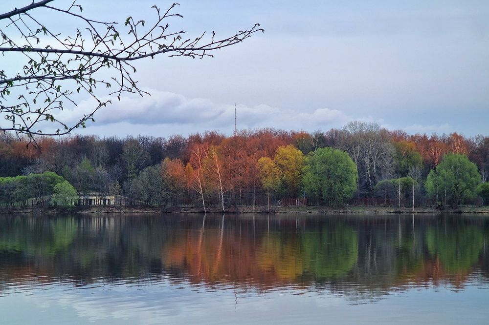 Фотография автора Maria Yakovleva