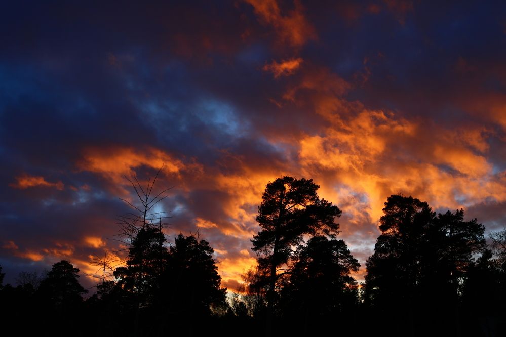 Photograph by Светлана Шуткова