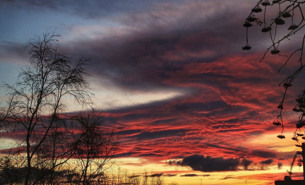 Фотография автора Светлана Терехова