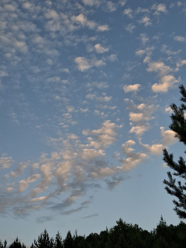 Photograph by Катерина Солдатова