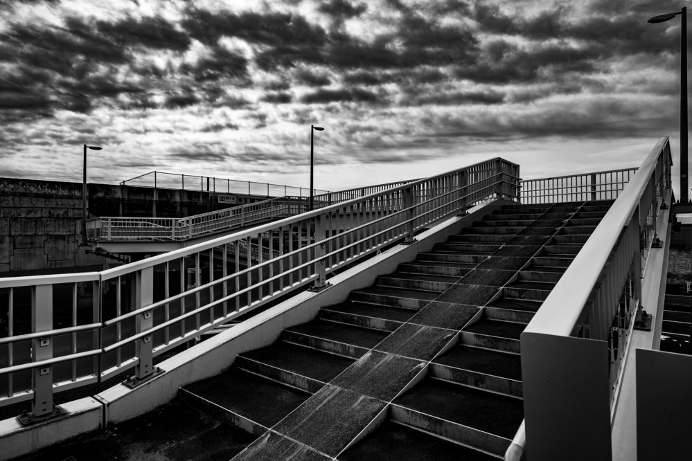 Photograph by Suzuki Ryuta