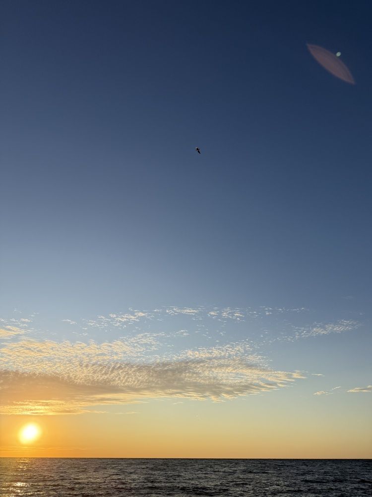 Photograph by Ольга Карева