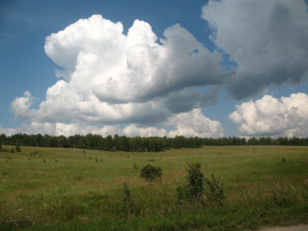 \"Белогривые лошадки\"