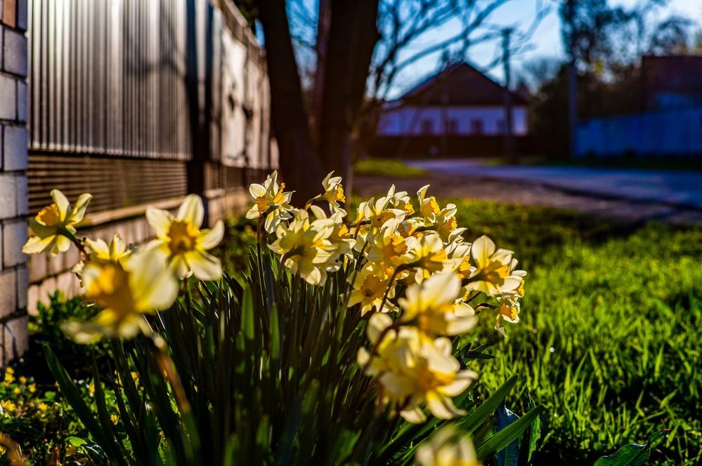 Photograph by Крупченко Роман