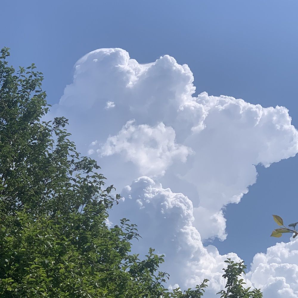 Фотография автора Василий Здоровецкий