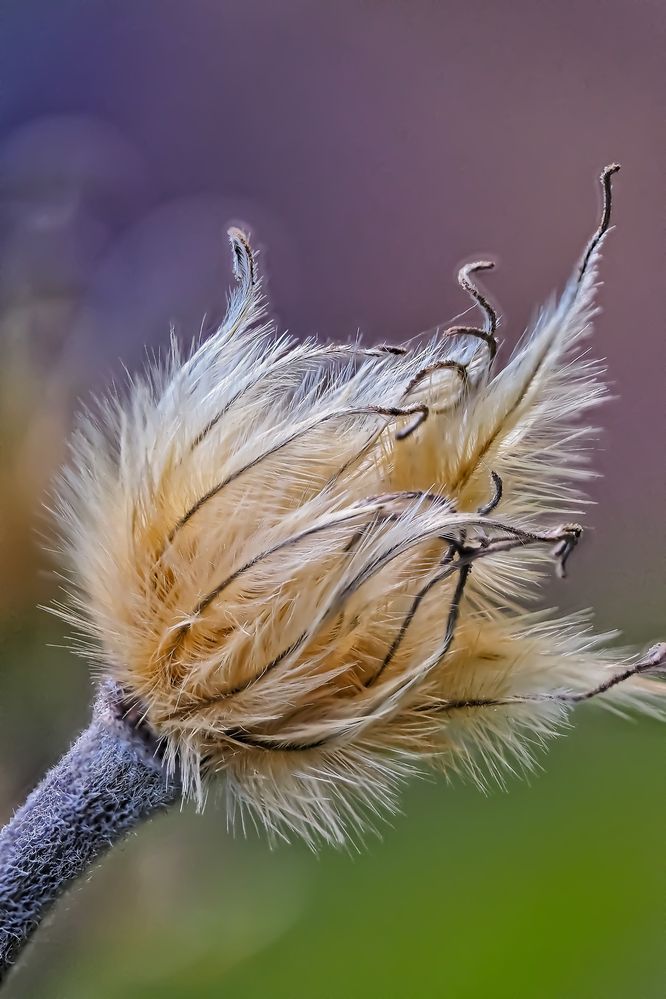 Photograph by Савчук Анатолий