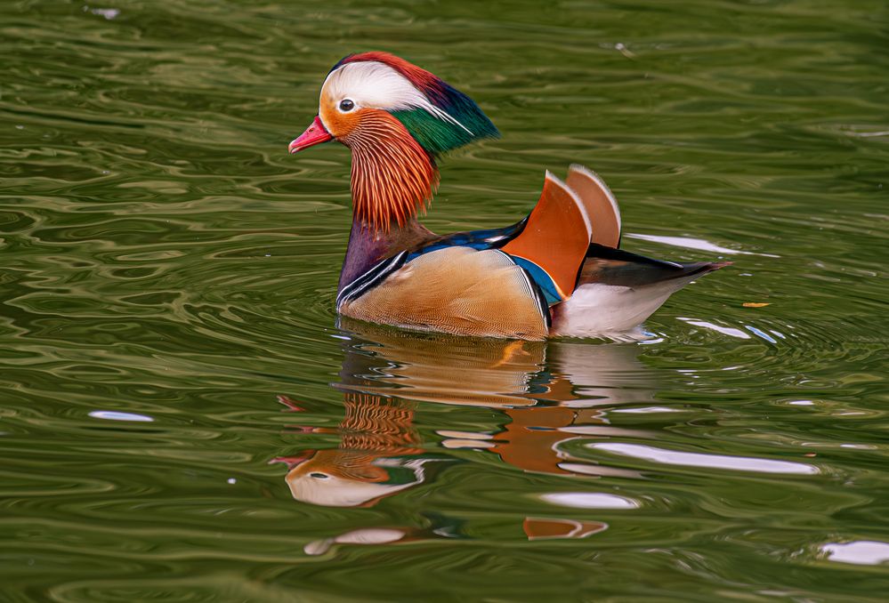 Photograph by Михаил Измайлов