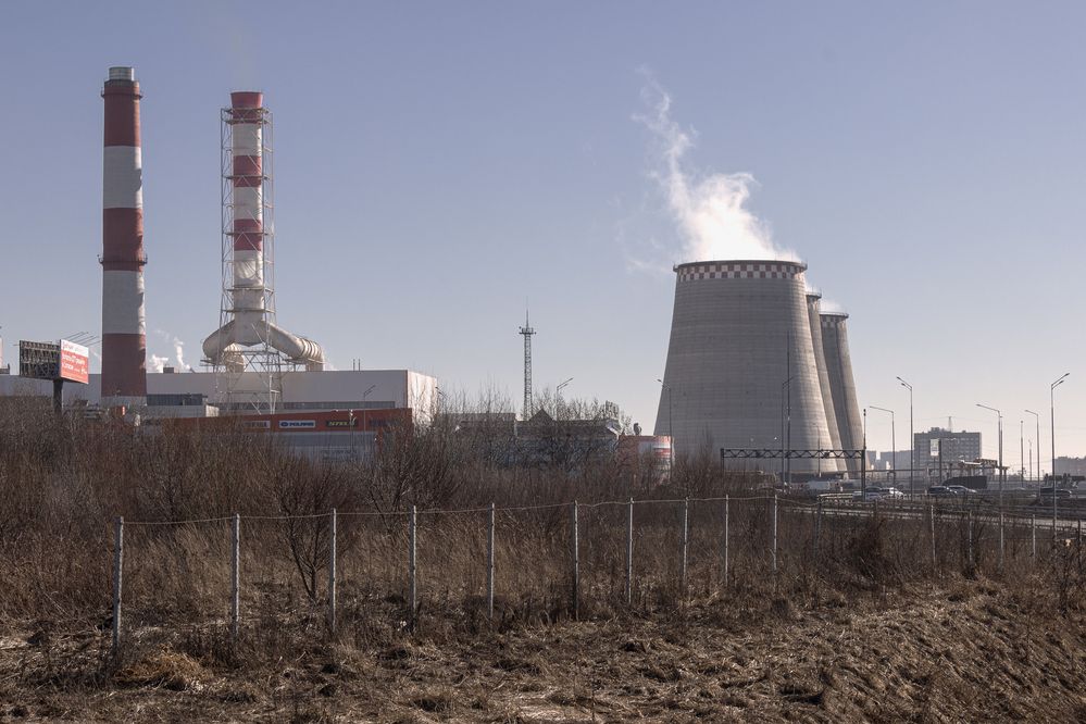 Фотография автора Ирина Гриценко