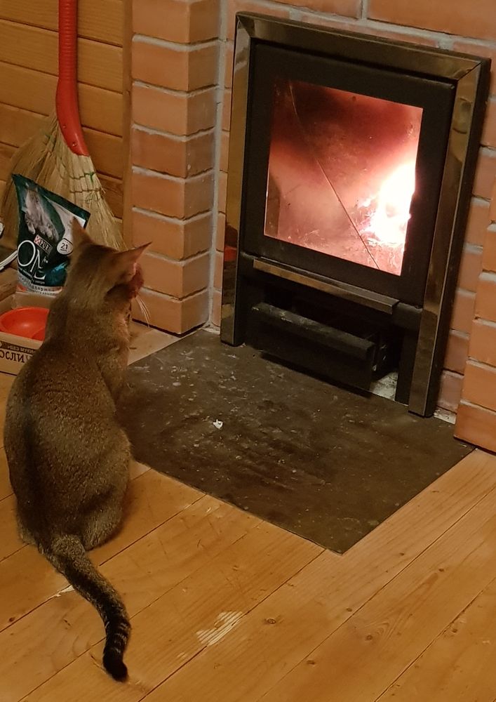 Photograph by Ivan Karavka