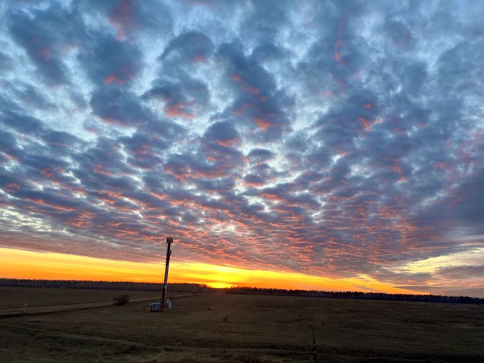 Photograph by Ольга Белоусова