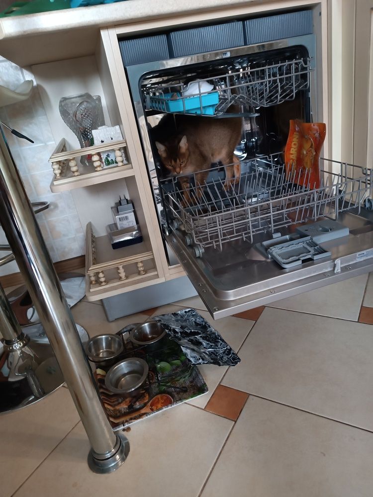 Photograph by Ivan Karavka