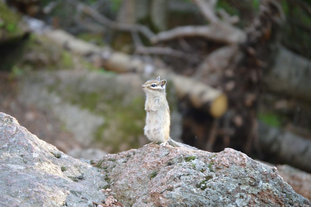 Photograph by Маринова Марина