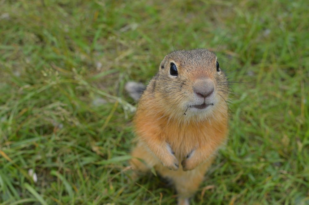 Photograph by Маринова Марина