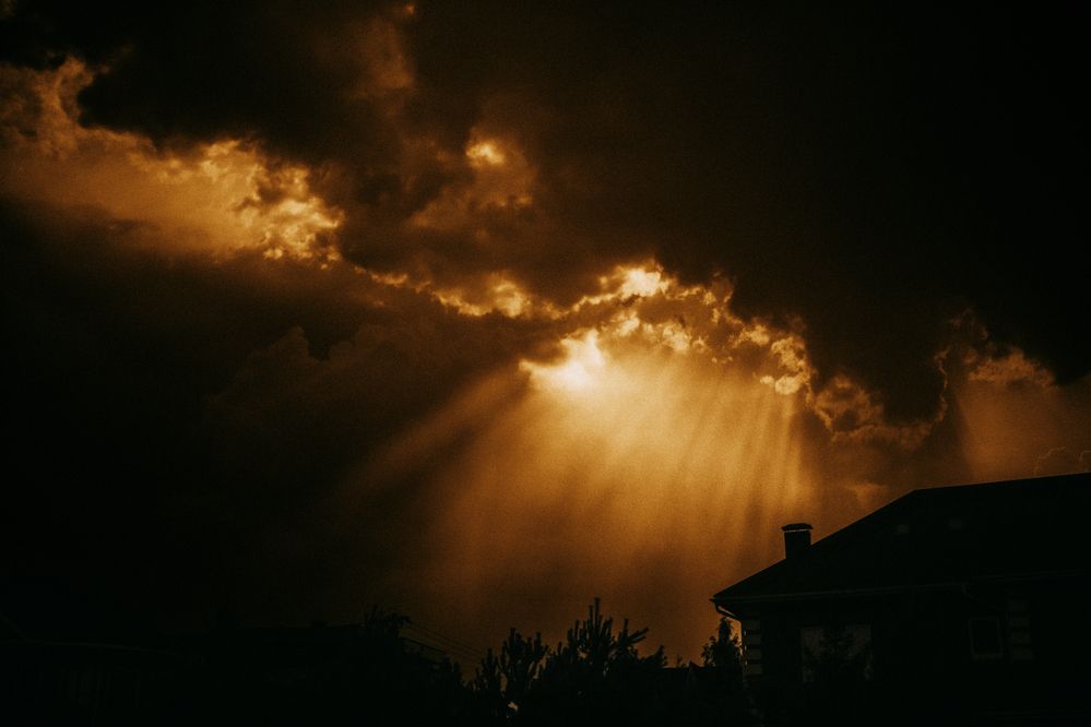 Photograph by Denis Naryshev