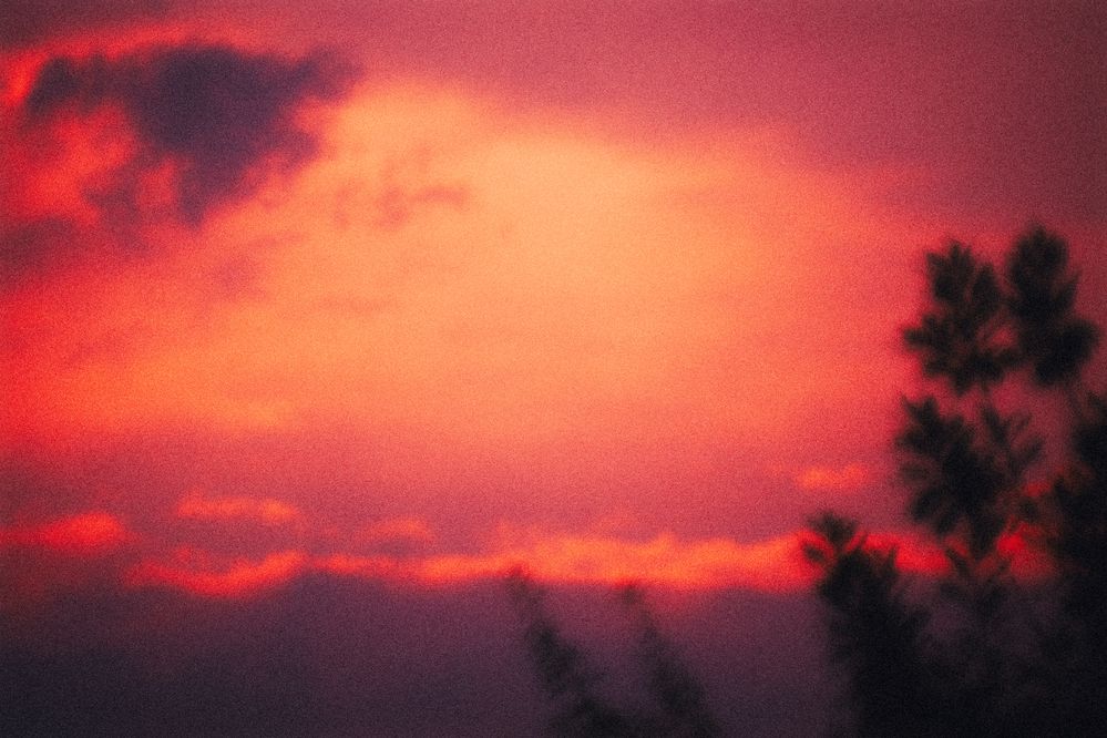 Photograph by Denis Naryshev